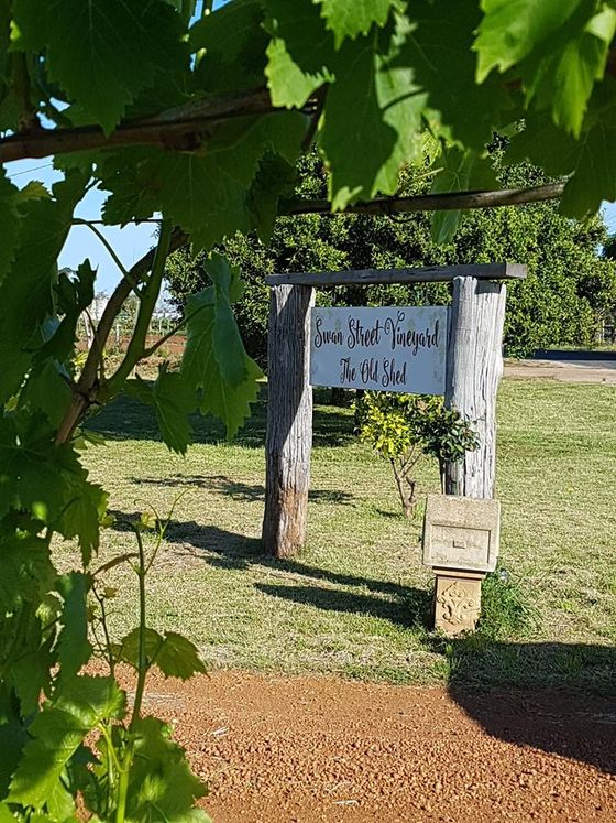 A red gravel driveway leading past rows of vineyard toward the property entrance.