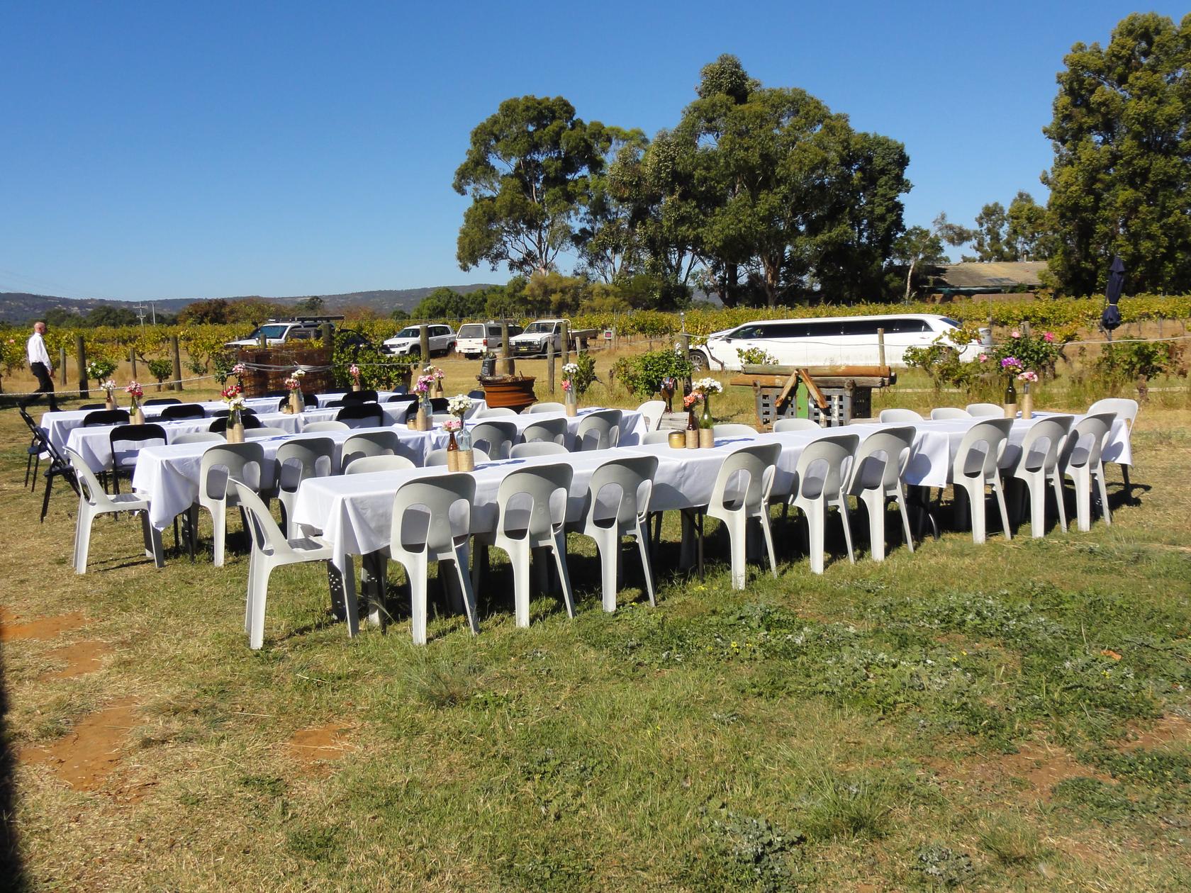 Long reception tables dressed in white cloths, set with flowers, arranged outdoors beside rows of vines.