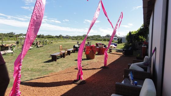 Pink ribbon streamers strung along the shed courtyard for a birthday celebration, vineyard in the background.